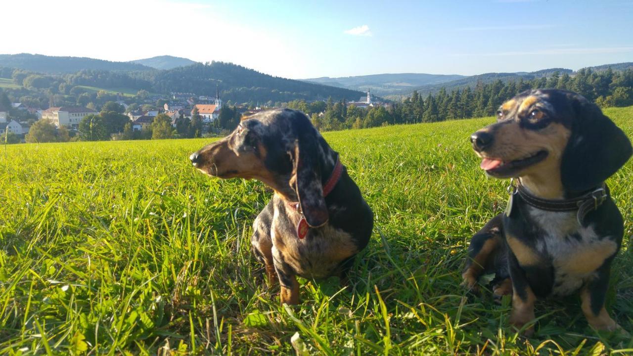 U Mikesu Vyssi Brod Exterior foto